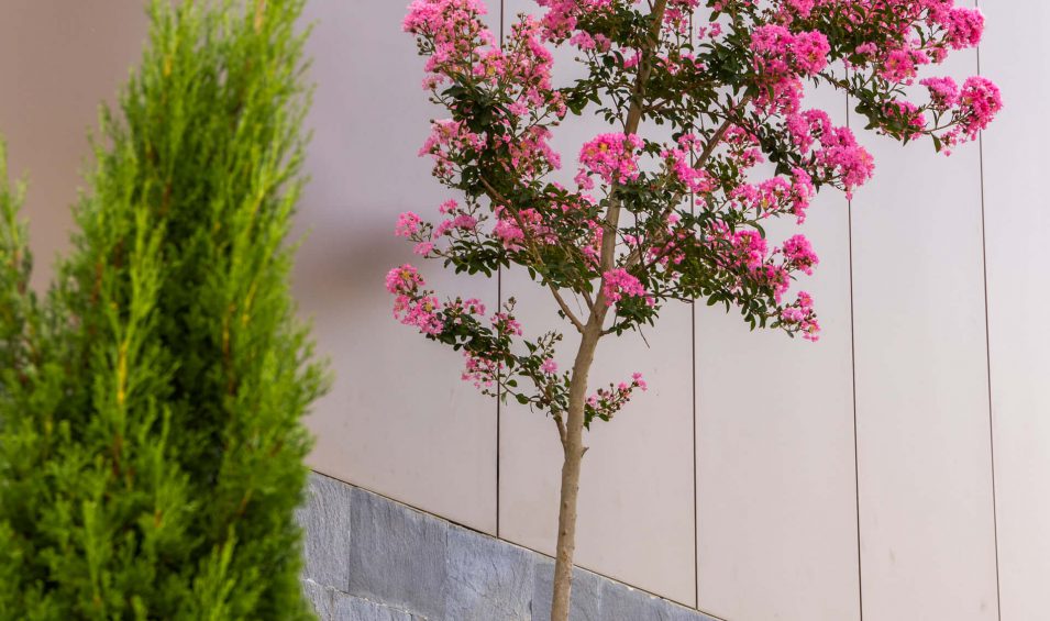 Екстериор49